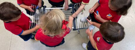 Pequeños.Descubrimientos