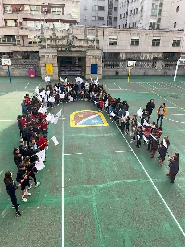Paz 24